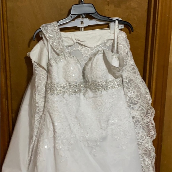 David's Bridal Wedding Dress - Picture 3 of 6